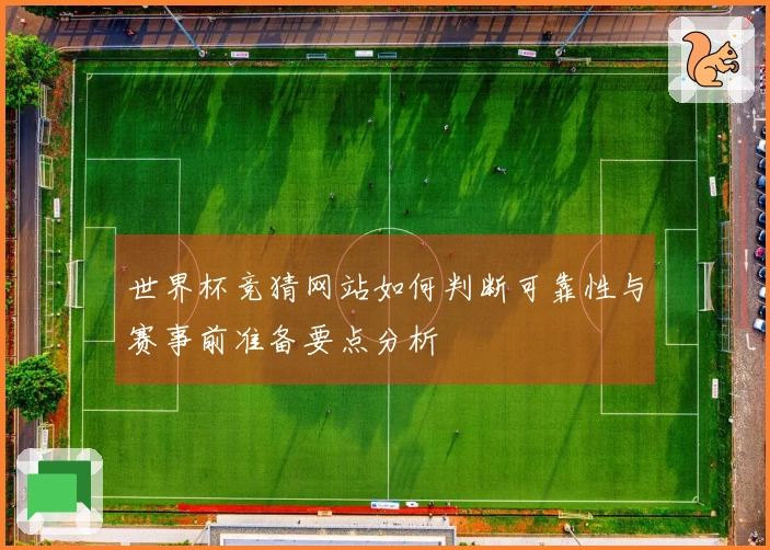 世界杯竞猜网站如何判断可靠性与赛事前准备要点分析