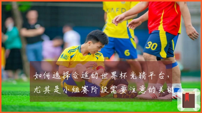 如何选择合适的世界杯竞猜平台，尤其是小组赛阶段需要注意的关键要素