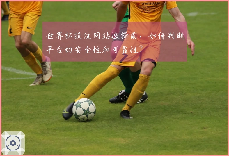 世界杯投注网站选择前，如何判断平台的安全性和可靠性？