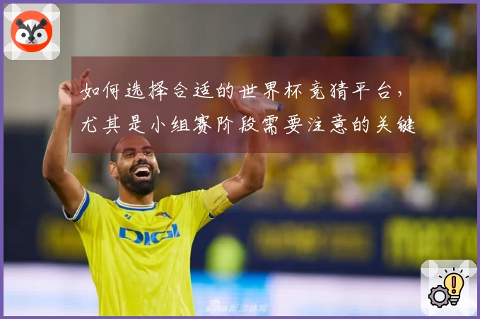 如何选择合适的世界杯竞猜平台，尤其是小组赛阶段需要注意的关键要素